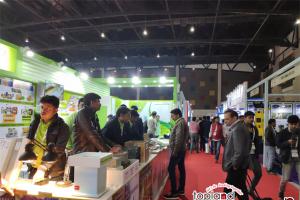 中印直航簽證再升級，2026年印度齋普爾石材展迎來全新機遇